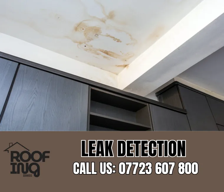 Roof leak detection and repair in Seaton